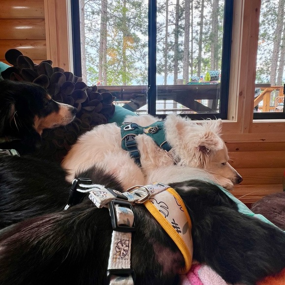 💫30% off 3+ Bundles💫 - Picture 4 of 4